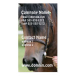 Large Draught   Horse Business Cards