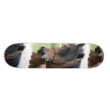 Large Draught   Horse Skateboard