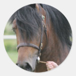 Large Draught   Horse Stickers