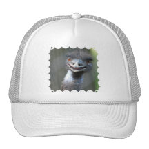 Large Emu  Baseball Hat