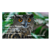 Large Owl Business Cards