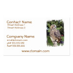 Large Owl on Fence Business Cards