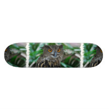 Large Owl Skateboard