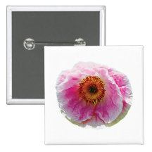 Large Pink Poppy