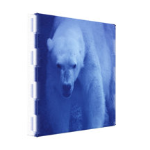 Large Polar Bear Canvas Print
