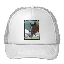 Large Warmblood Horse Baseball Hat