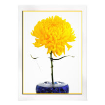 Large Yellow Chrysanthemum Photograph Custom Invitation
