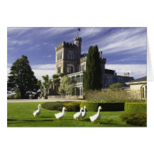 Larnach Castle, Otago Peninsula, Dunedin, Greeting Card