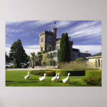 Larnach Castle, Otago Peninsula, Dunedin, Poster