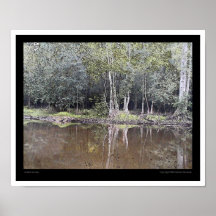 Lassiter Swamp Posters