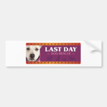 Last Day Dog Rescue Bumper Sticker