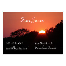 Last Light II business card