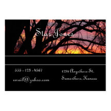 Last Light III business card