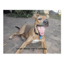 Laugh like no one is watching post cards