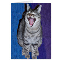 Laughing Cat Card