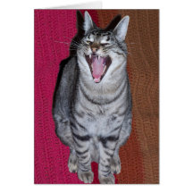 Laughing Cat Card