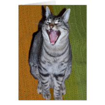 Laughing Cat Card