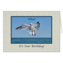 Laughing Gull Bird Birthday Card