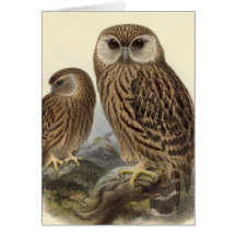 Laughing Owl Vintage Illustration Greeting Cards