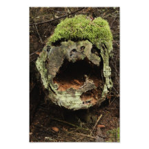 laughing-stump art photo