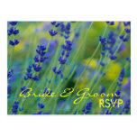 Lavendar • RSVP Postcard