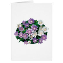 Lavender and White Stokes Asters Greeting Card