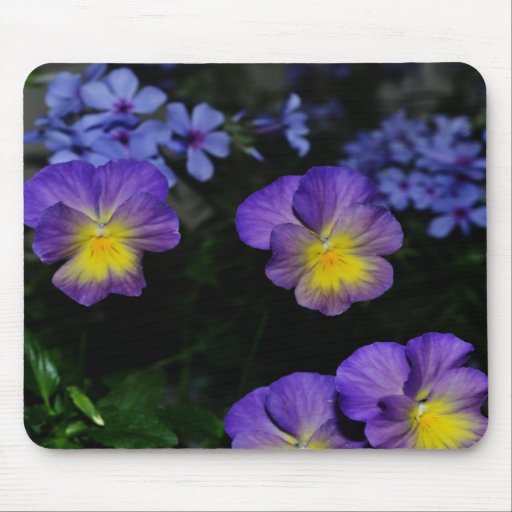 Lavender and Yellow Pansies  Mousepad