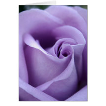 Lavender Love Greeting Cards