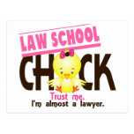 Law School Chick 3 Post Card