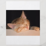 Lazy Cat Personalized Flyer