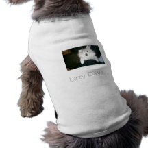 Lazy Days Pet Clothes