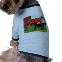 Lazy Dog Dog Tee Shirt