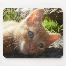 Lazy Kitten Mouse Mat