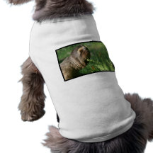 Lazy Sloth Pet Shirt