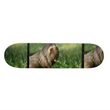 Lazy Sloth Skateboard