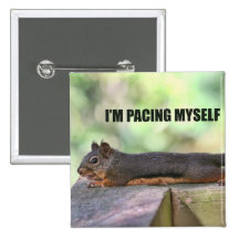 Lazy Squirrel Photo Pins