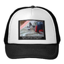 Lazy Unfocused Dog Hat