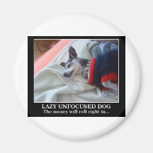 Lazy Unfocused Dog Refrigerator Magnets