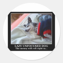 Lazy Unfocused Dog Stickers