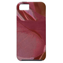 lb Bougainvillea iPhone 5 Cover