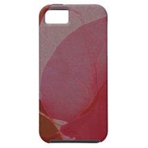 lb Bougainvillea iPhone 5 Covers