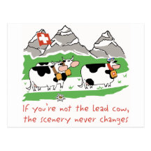 Lead Cow Postcard