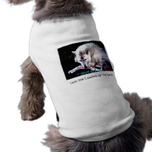 Leader of the Pack wolf Doggie Shirt