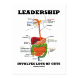 Leadership Involves Lots Of Guts (Digestive Humour Postcards