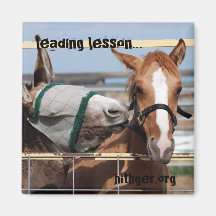 Leading lesson magnet