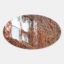 Leaf And Vine Covered Window Stickers