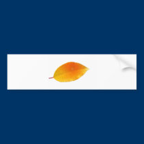 Leaf bumper stickers