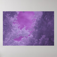 Leaf Canopy, Infrared Photo. 2010 Poster