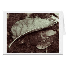 leaf fling greeting card