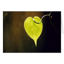 Leaf Greeting Card